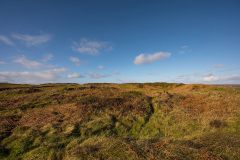 Caer Bran