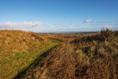Caer Bran