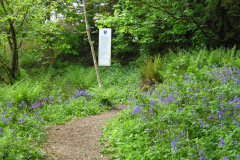 image003