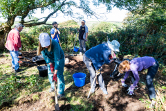 Photo credit: Keith Larby (www.akphotos.net) / Cornwall Heritage Trust volunteer
