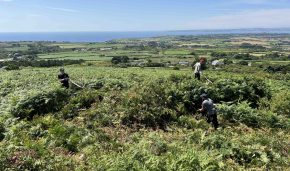 Cornish charity makes call-out for Young Rangers thanks to support of National Lottery Community Fund and holidaycottages.co.uk CHT-News-YoungRangers-CaerBran