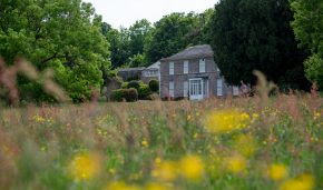 New chapter begins at Nancealverne with Community Consultation Open Days Nancealverne House-6349