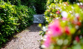 Nancealverne House-5840
